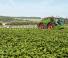 Pulverizadoras automotrices Fendt Rogator 655