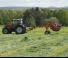 Rastrillos henificadores Kuhn GF 13012