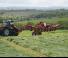 Rastrillos henificadores Kuhn GF 13012