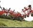 Rastrillos henificadores Kuhn GF 17012