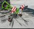 Fendt Former 301 DN 