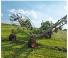 Fendt Former 426 DN