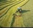 Claas Liner 320