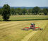 Rastrillos rotativos Massey Ferguson RK1254 TRC