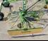 Rastrillos rotativos Krone Swadro 42
