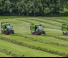 Remolques de ensilado Fendt Tigo 60 MS 