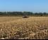 Rodillos para prado y campo Agrisem Faca Roller