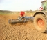 Rodillos para prado y campo DAL-BO MaxiRoll 630