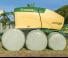 Rotoempacadoras Krone Comprima CV 150 XC Plus 