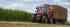 Tractores - tracción 4 ruedas Massey Ferguson MF 6614 Dyna VT