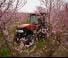 Tractores - tracción 2 ruedas Case IH Farmall 100N