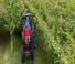 Tractores - tracción 4 ruedas Valtra F105S