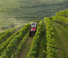 Tractores - tracción 4 ruedas Valtra F75S