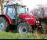 Massey Ferguson MF 4355-4 Classic