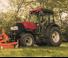 Tractores - tracción 4 ruedas Case IH Quantum 110 F Rops