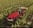Tractores - tracción 4 ruedas Case IH Quantum 90 CL Rops