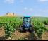 Tractores - tracción 4 ruedas Landini Rex DT 4-100V