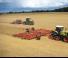 Tractores agrículas de orugas Claas Xerion 4500 Trac TS