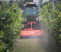 Trituradoras Maschio Corazza 230 S