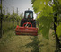 Trituradoras Maschio Tigre 300