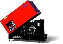 Grupos electrógenos diesel Endress ESE 20 YW-AS