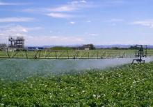 Barras de pulverización Irrimec IRRIGATION BOOM F.V.T. 25/32