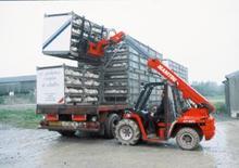 Manipuladoras telescópicas Manitou BT 425