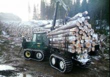 Cabezas tractoras (Forwarder) Timberjack 1710