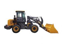 Cargadoras de ruedas XCMG LW200FV Food King