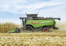Cosechadoras – cabezales de maíz Fendt CornFlow 8Reihen 70cm