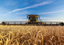 Cosechadoras – mecanismo de corte New Holland 880CF SuperFlex Draper