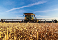Cosechadoras – mecanismo de corte New Holland 880CF SuperFlex Draper