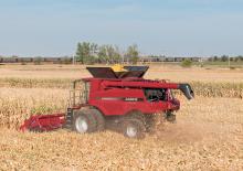 Cosechadoras – recolectores de maíz Case IH CIH 4406F 80