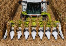 Cosechadoras – recolectores de maíz Claas Corio 670 C