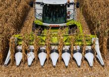 Cosechadoras – recolectores de maíz Claas Corio 690