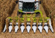Cosechadoras – recolectores de maíz Claas Corio 890