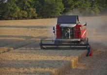Cosechadoras Massey Ferguson Activa 7345 S