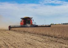 Cosechadoras Case IH AF9 