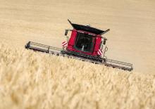 Cosechadoras Case IH Axial Flow 8250