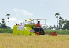 Cosechadoras Claas Crop Tiger 40 Terra Trac