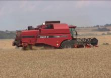 Cosechadoras Case IH CT 5080