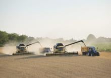 Cosechadoras New Holland CX 8090 Elevation