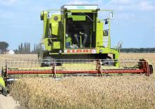 Cosechadoras Claas Dominator 105
