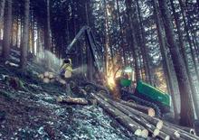 Cosechadoras forestales John Deere 1270 E IT4