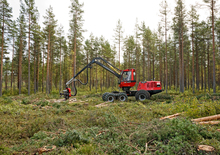 Cosechadoras forestales Komatsu 901.4