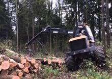 Cosechadoras forestales EcoLog EcoLog 590 C