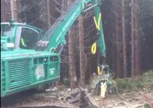 Cosechadoras forestales Impex Königstiger T 30 Gigant