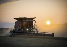Cosechadoras Massey Ferguson Ideal 7 PL