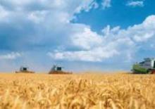 Cosechadoras Claas Lexion 600