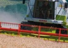Cosechadoras Claas Medion 310